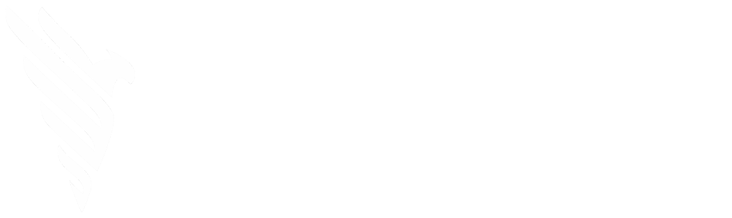 Phoenix Rise — Digital Performance